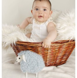 Batista baby ceremony and christening frog with valencienne interdos